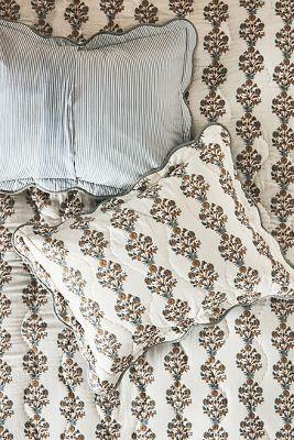 Iluka Shams, Set of 2