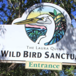 Florida Keys Wild Bird Rehabilitation Center