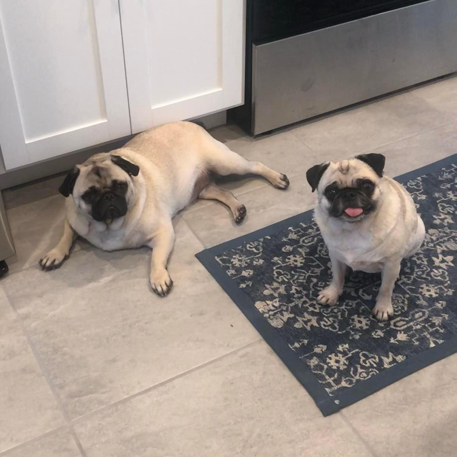 Miley & Barry, July 2021