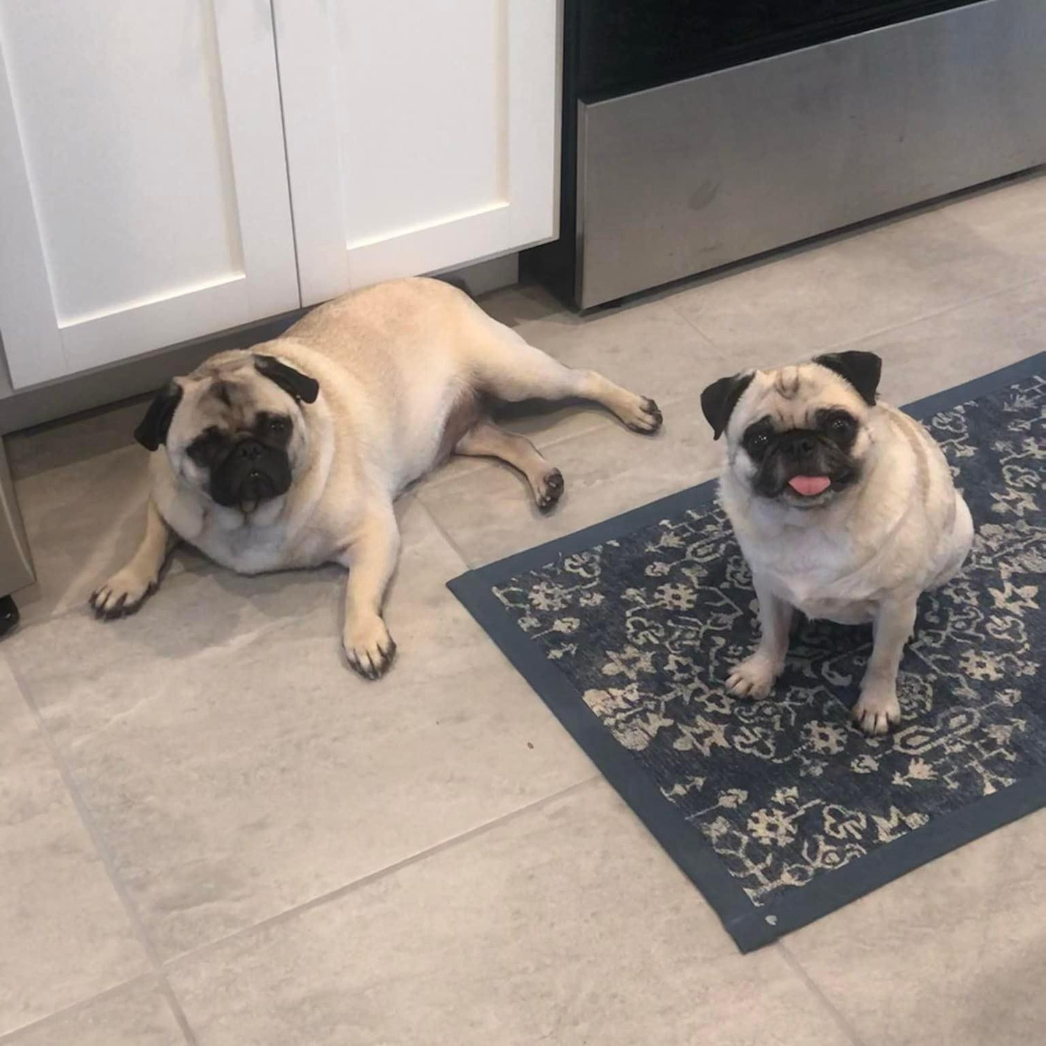 Miley & Barry, July 2021
