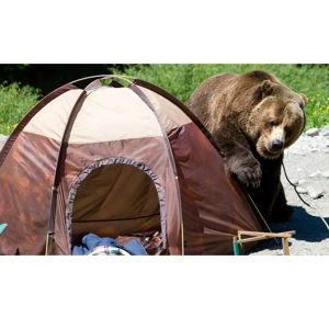 Camping fund