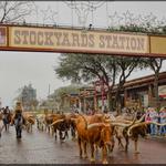 Fort Worth Stockyards Station