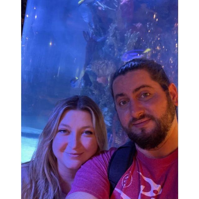 Aquarium Adventures