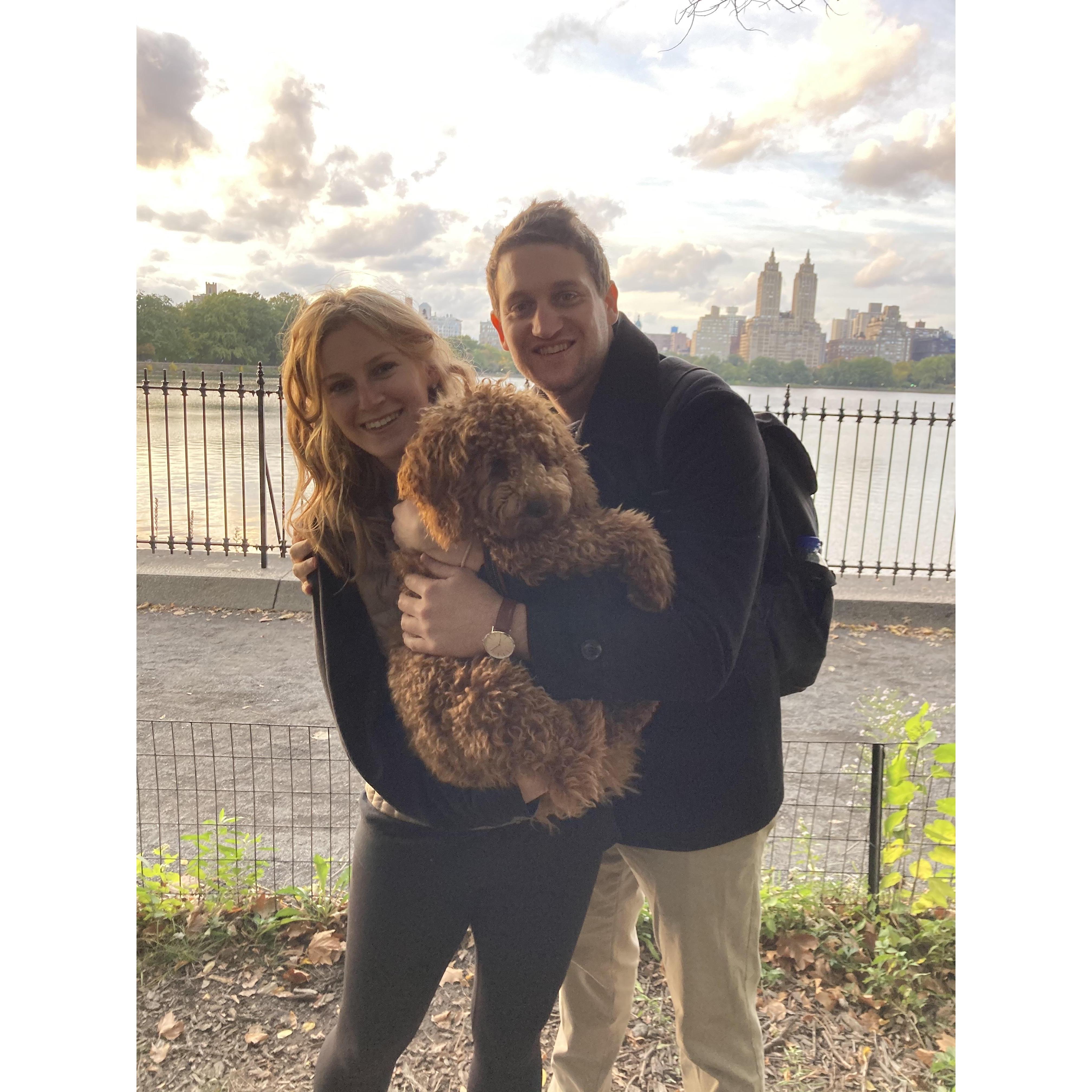 Winston Barkdale Blitz in Central Park