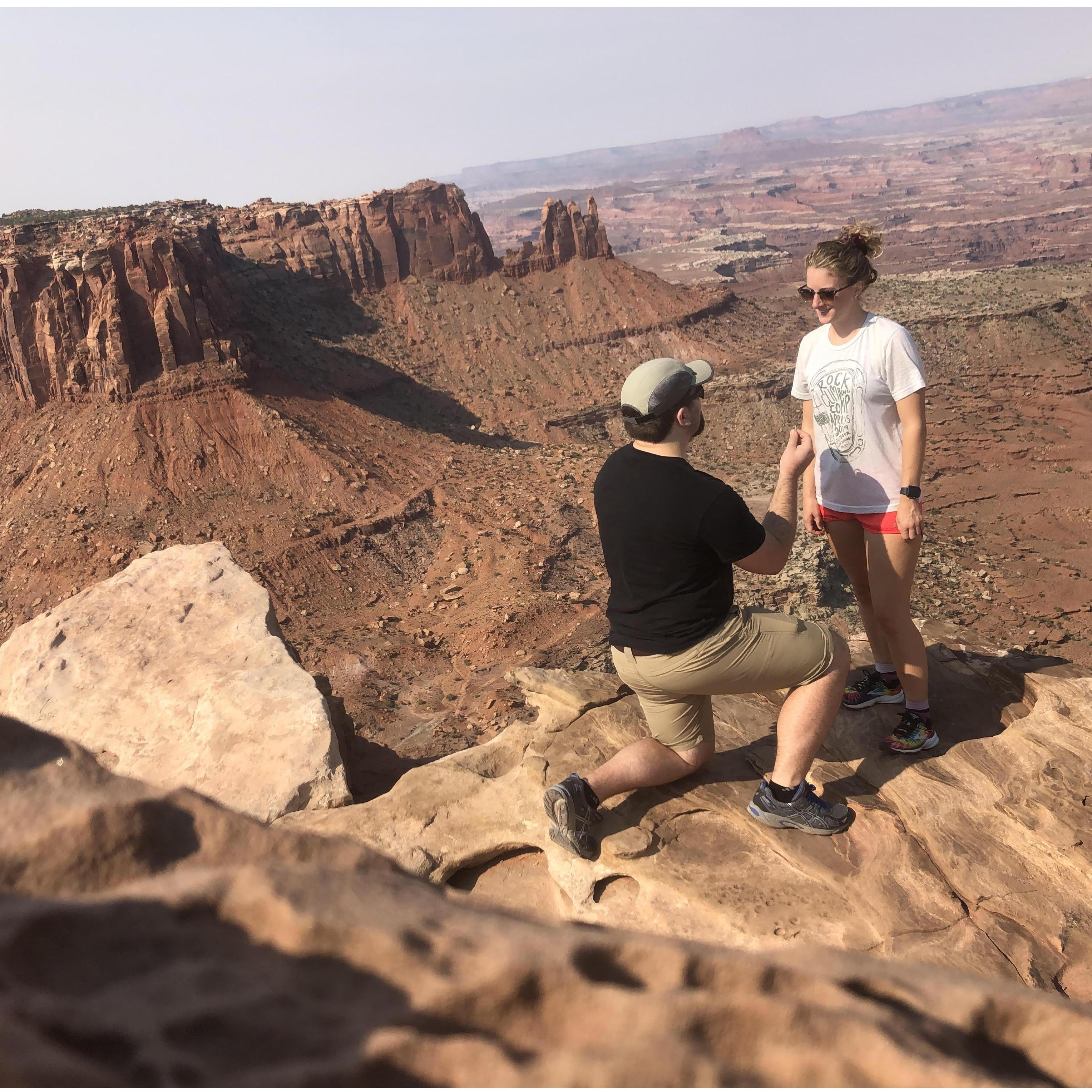 The proposal: "are you serious?"