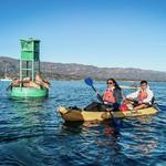 Paddle Sports California