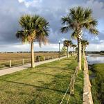 Pitt Street Bridge