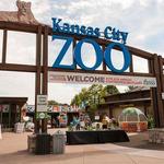 Kansas City Zoo & Aquarium