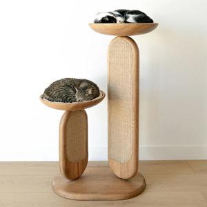Fancy cat tree fund