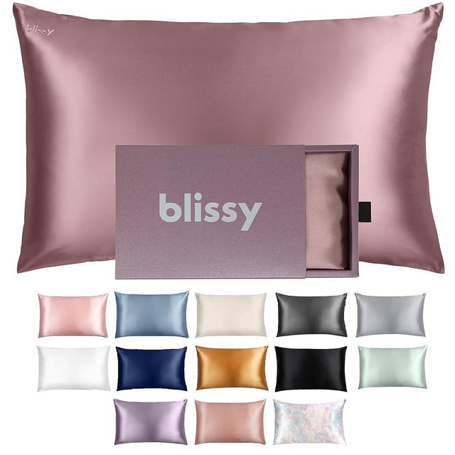 Blissy Silk Pillowcase - 100% Pure Mulberry Silk - 22 Momme 6A High-Grade Fibers - Silk Pillow Cover for Hair & Skin - Regular, Queen & King with Hidden Zipper (Standard, Plum)