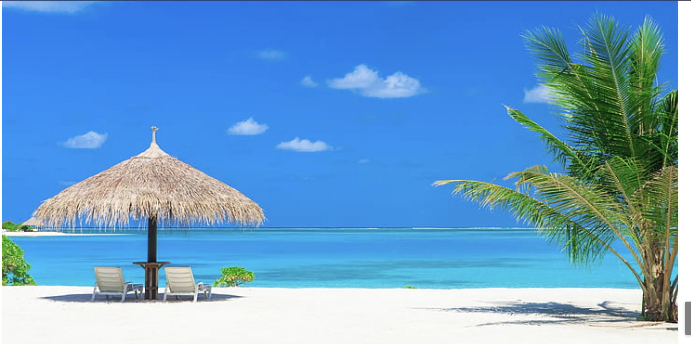 66bf1de9-e49b-48ec-aa67-bc9467f3ebfa