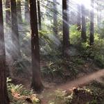 Hoyt Arboretum