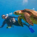 Intro to scuba diving (Thursday 7/28 8:30am)