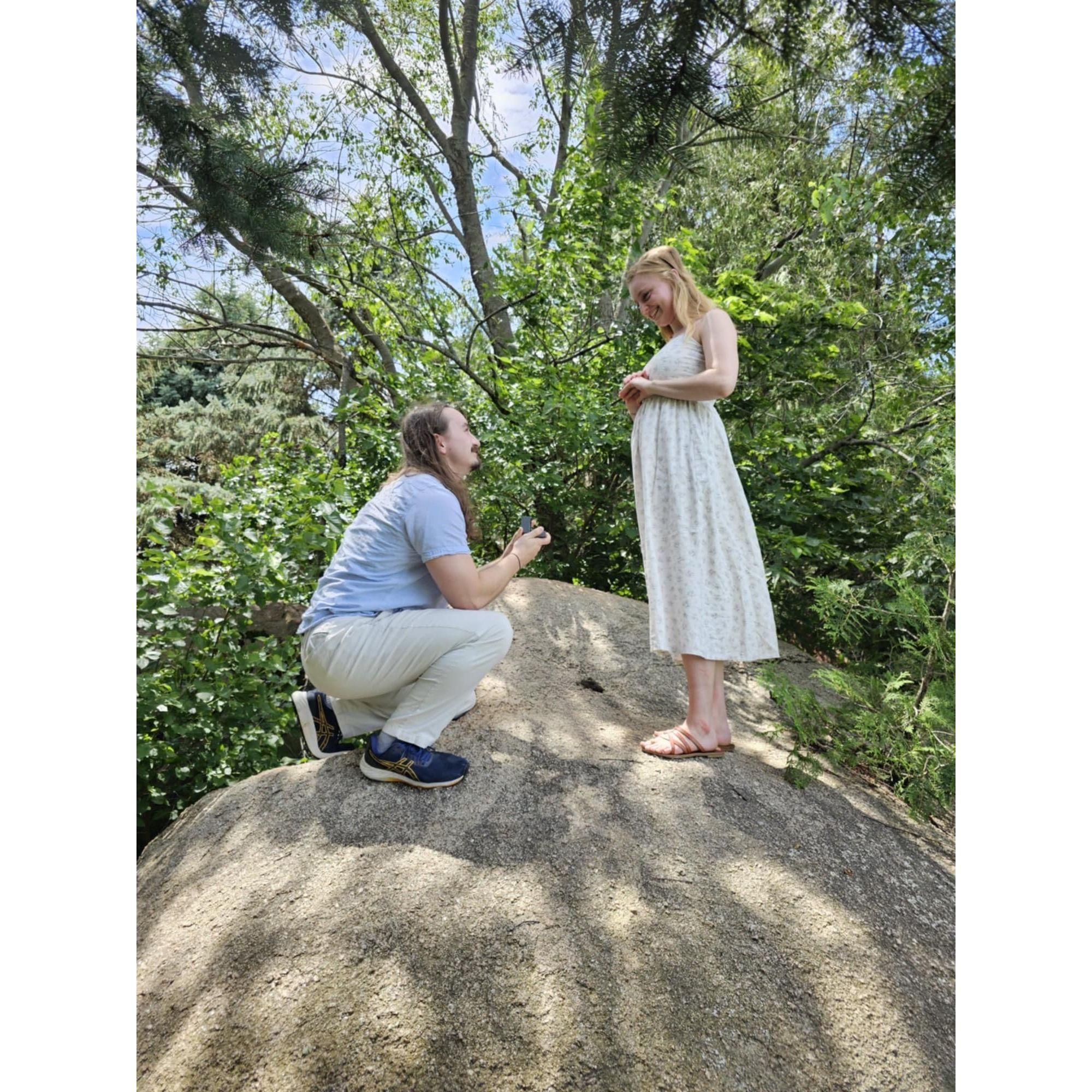 Riley proposing