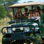 Mabalingwe Safari