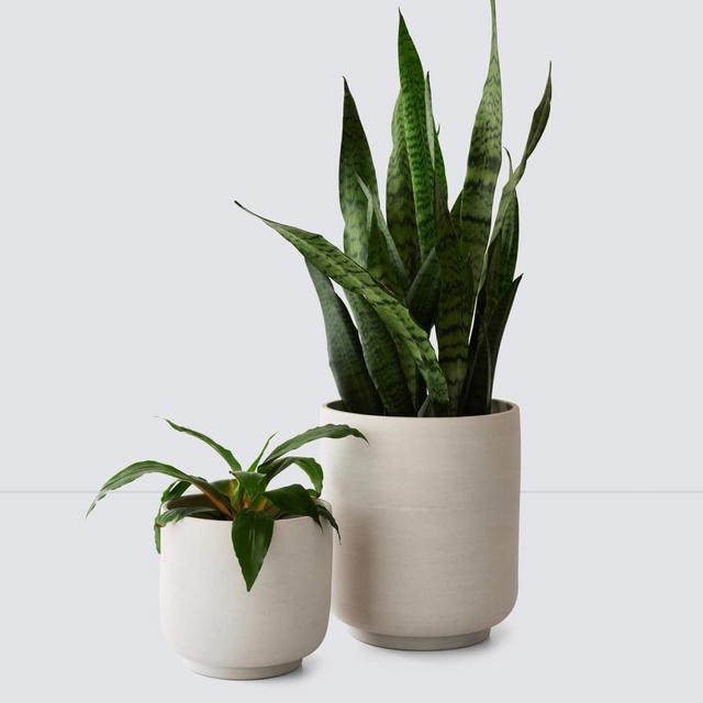 Cantaro Pots - Multiple Sizes