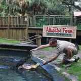 St. Augustine Alligator Farm Zoological Park