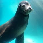 Riverhead Aquarium