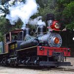 Roaring Camp