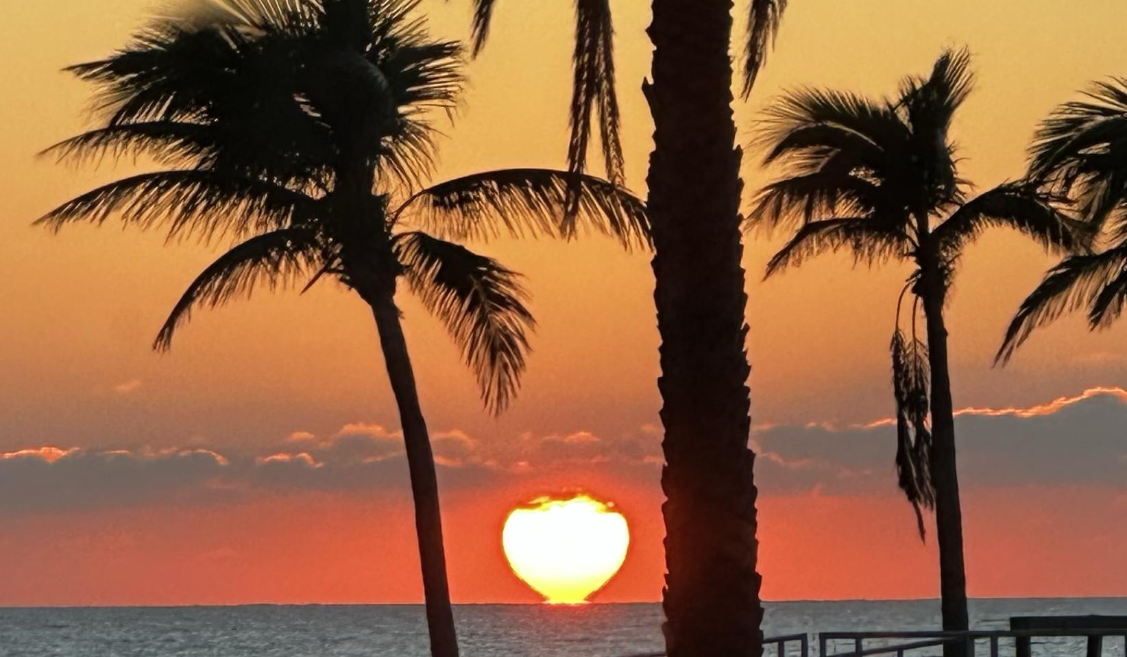 The Wedding Website of Crystal Pippin and Javier Paez