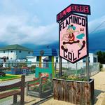 Flamingo Miniature Golf Course