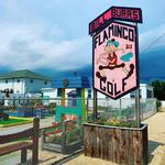 Flamingo Miniature Golf Course