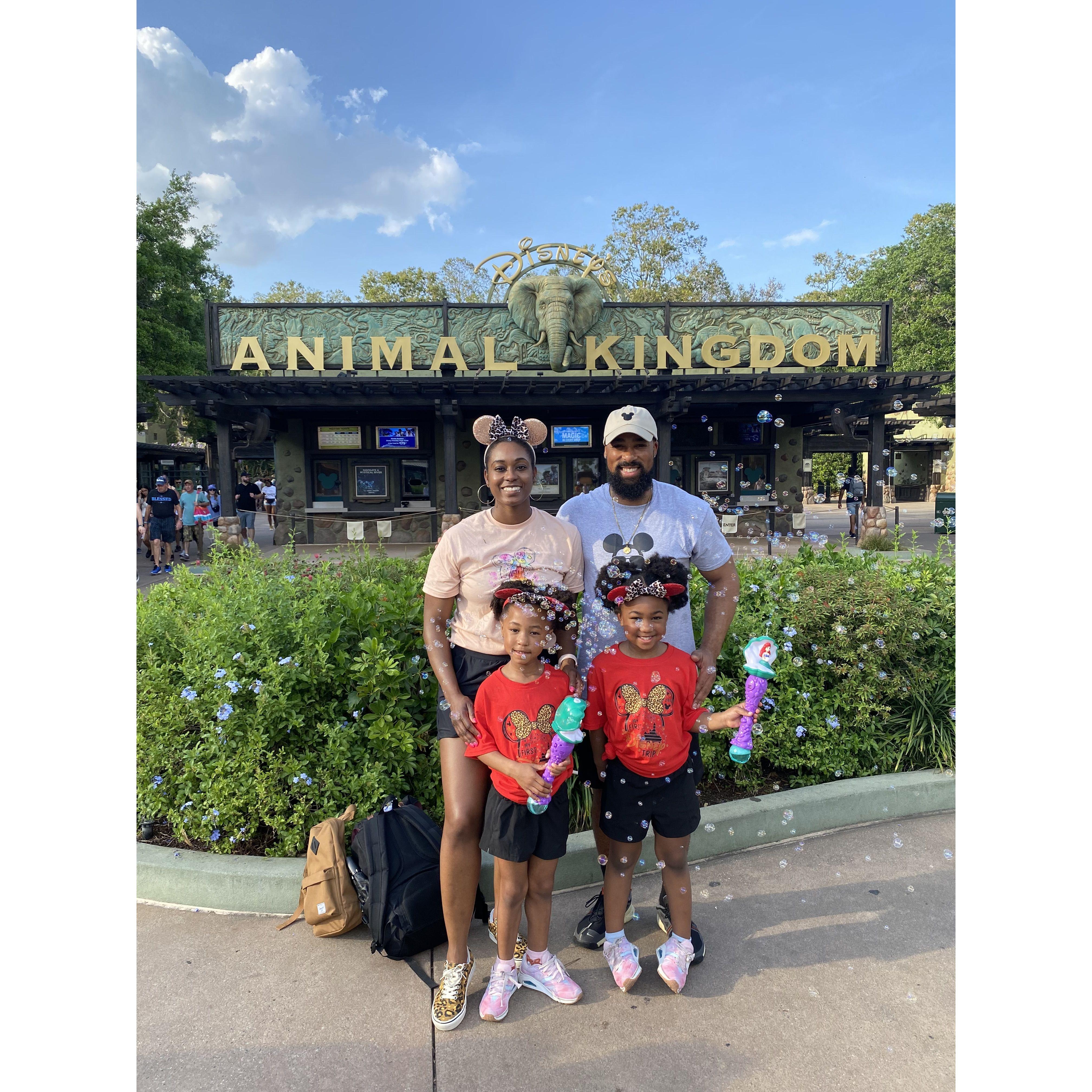 Walt Disney World March 2023