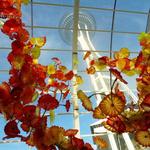 Chihuly Garden and Glass