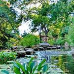 Zilker Botanical Garden