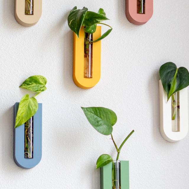 Arched Plant Propagation Wall Planter | Propagating Tubes | Plant Propagation | Gifts for Her | Boho Room Decor