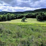 Schunnemunk State Park