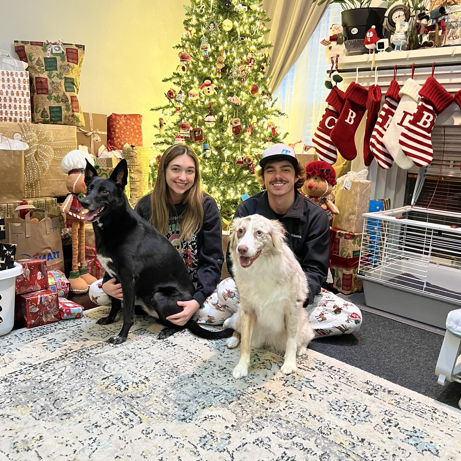 2nd Christmas! We added to our family!