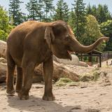 Oregon Zoo