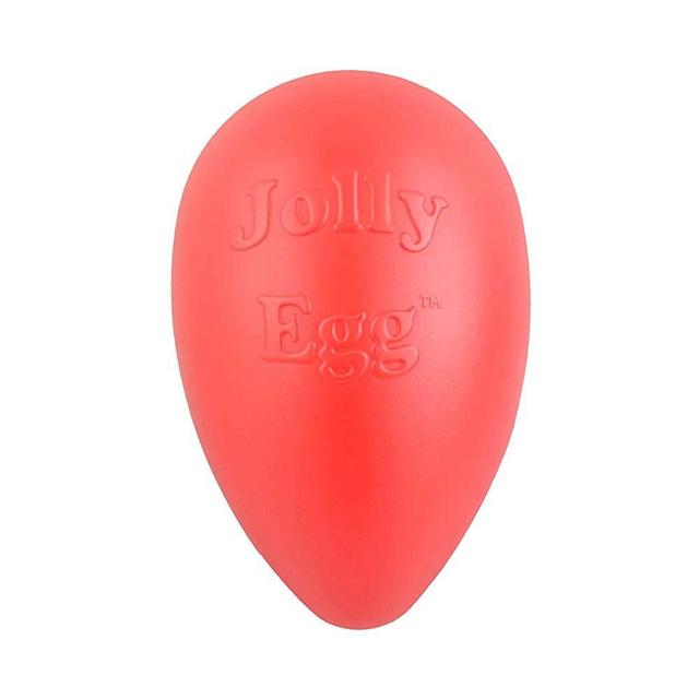 Jolly Pets Jolly Egg Dog Toy