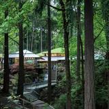 Portland Japanese Garden