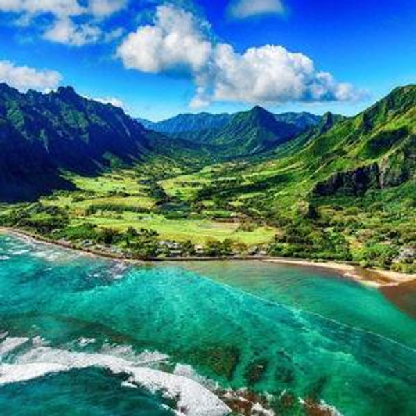 Honeymoon in Hawaii