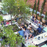 Carruth Cellars Wine Garden