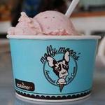 Molly Moon's Homemade Ice Cream