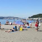 Alki