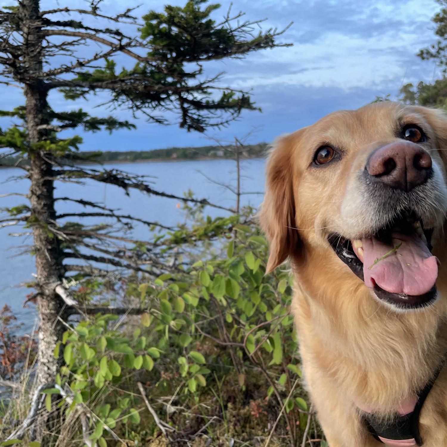 Ruth at her favorite spot (Hunter’s Point in Copper Harbor)
