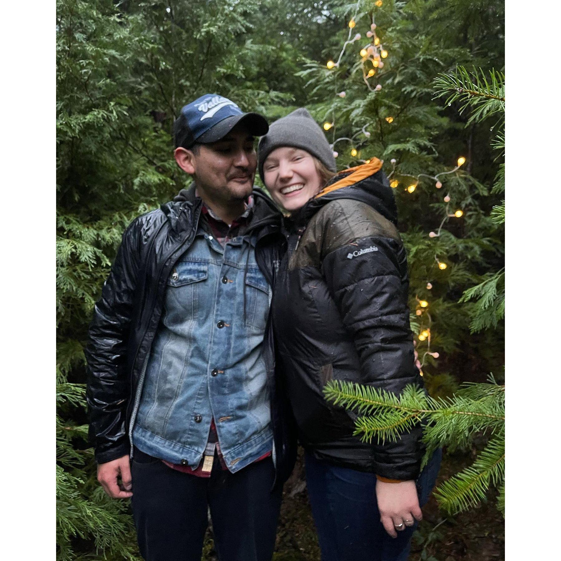 Into the woods to cut down a Christmas tree!
