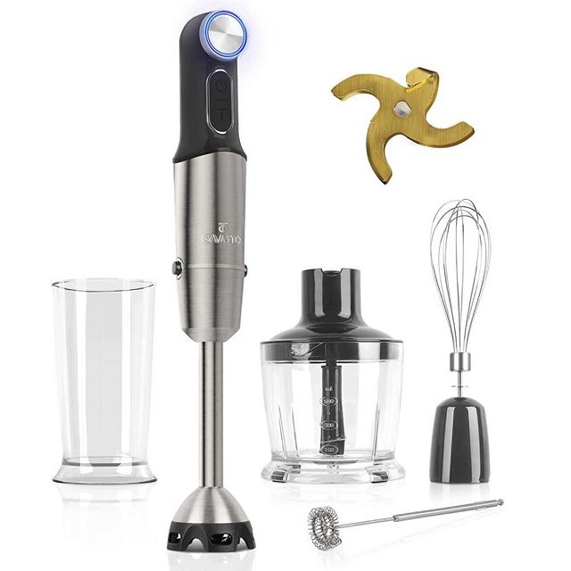 Gavasto Immersion Blender 800 Watts Scratch Resistant Hand Blender,20 Speed and Turbo Mode Hand Mixer, 5-in-1 Heavy Duty Copper Motor Stainless Steel Smart Stick with Egg Whisk, Milk Frother, Chopper
