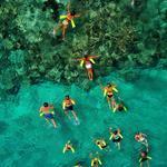 TOURS & EXCURSIONS