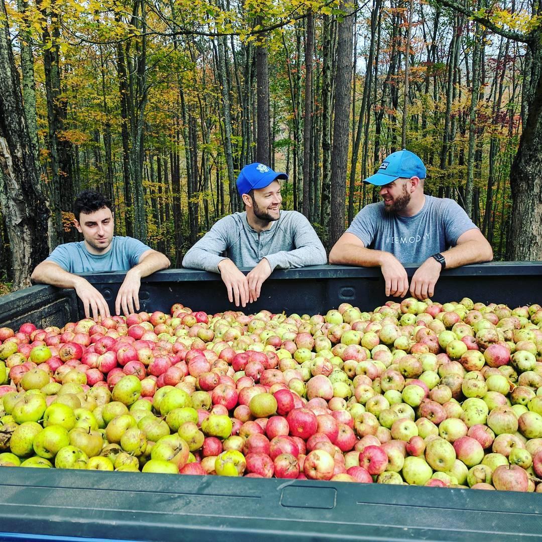 Apple picking in Catskills