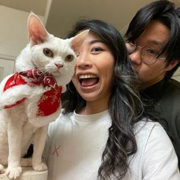 Our Pet Toy Fund