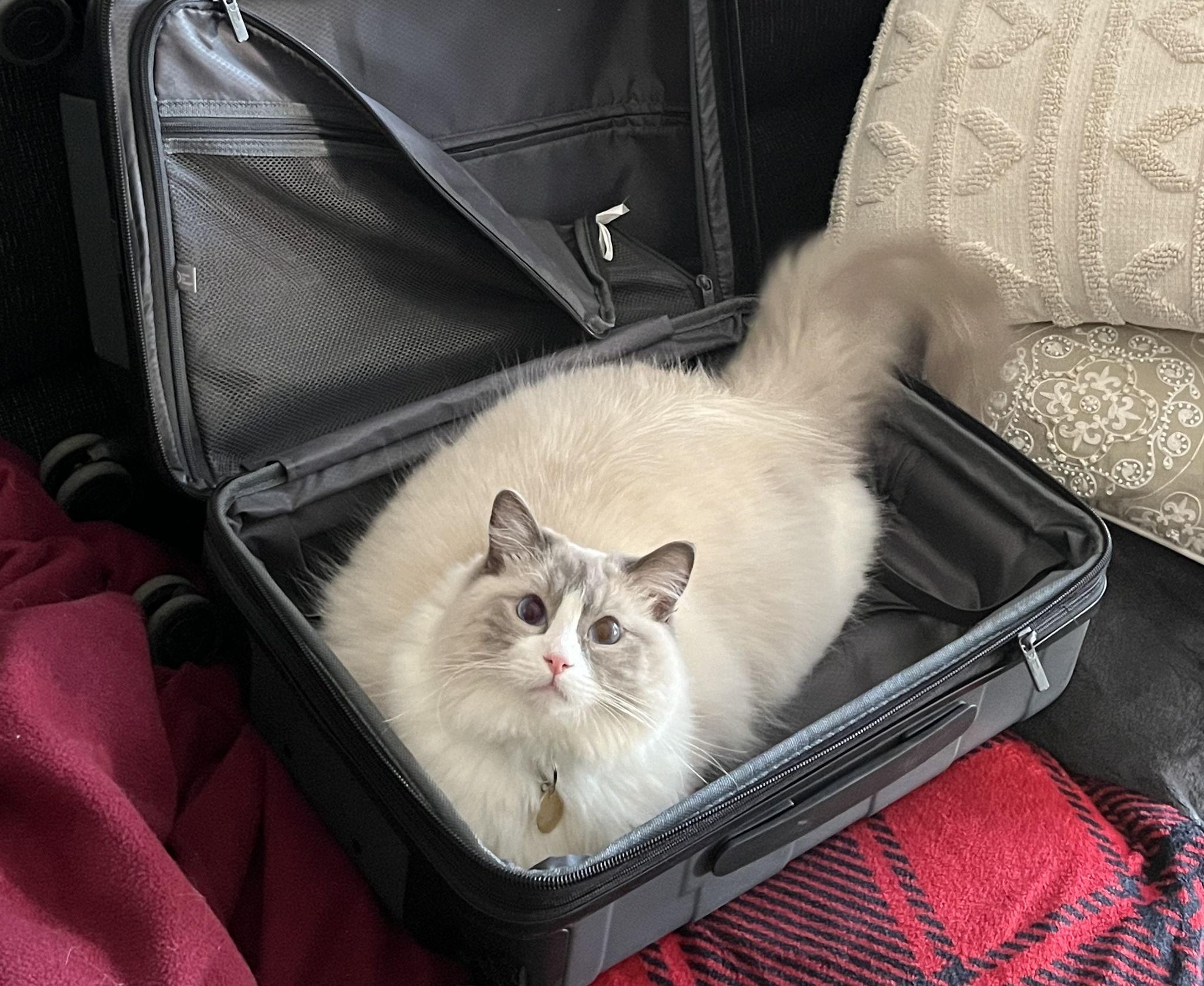 The Wedding Website of Meghan O’Sullivan and Dan Flanagan