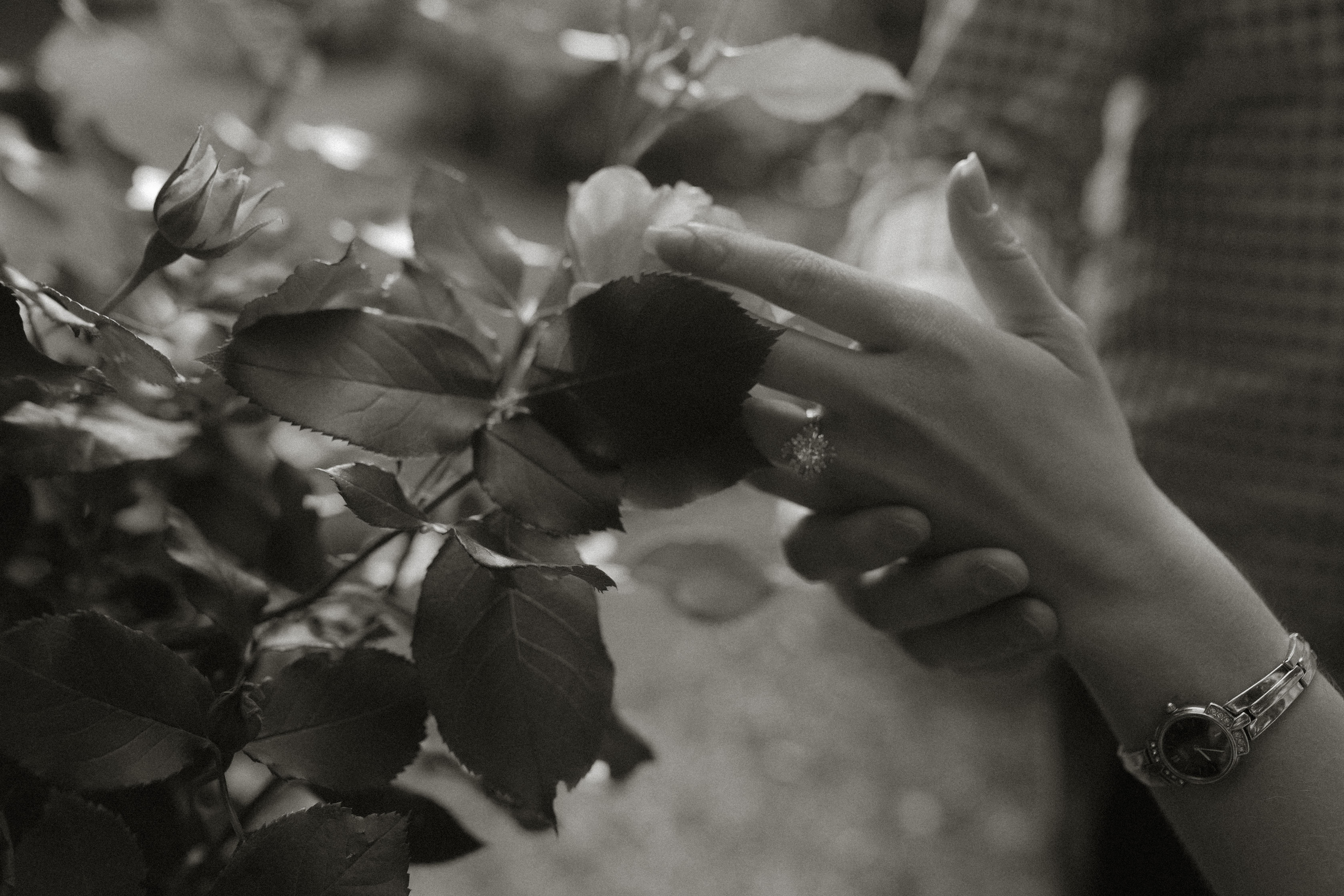 The Wedding Website of Taylor Charbonneau and Dillon Sparkman