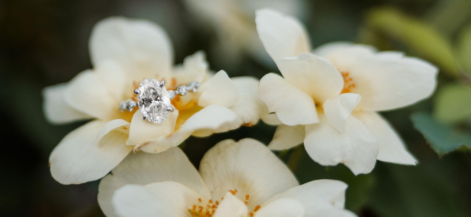 The Wedding Website of Kendal Marston and Ryan Howard