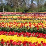 New Jersey Botanical Garden