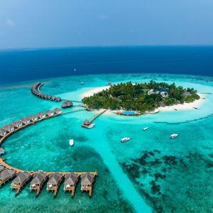 Honeymoon Fund